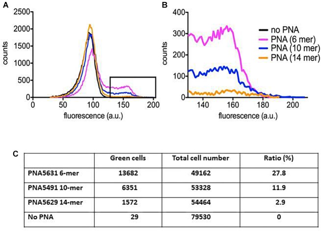 FIGURE 3