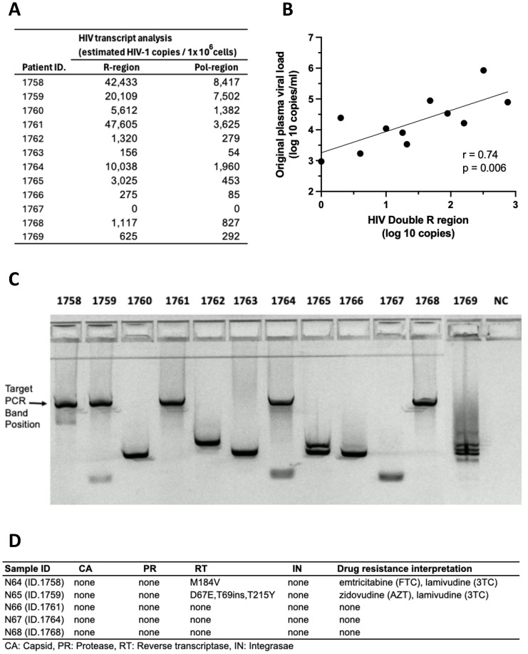 Figure 10