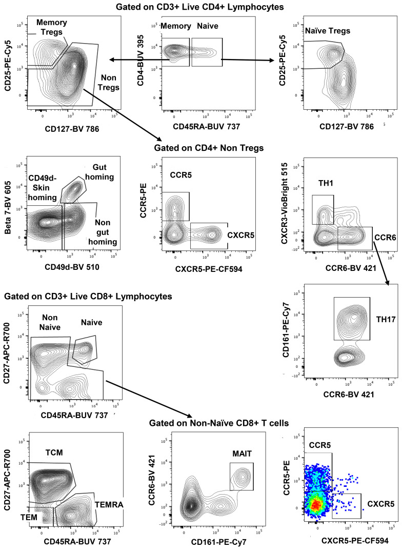 Figure 3