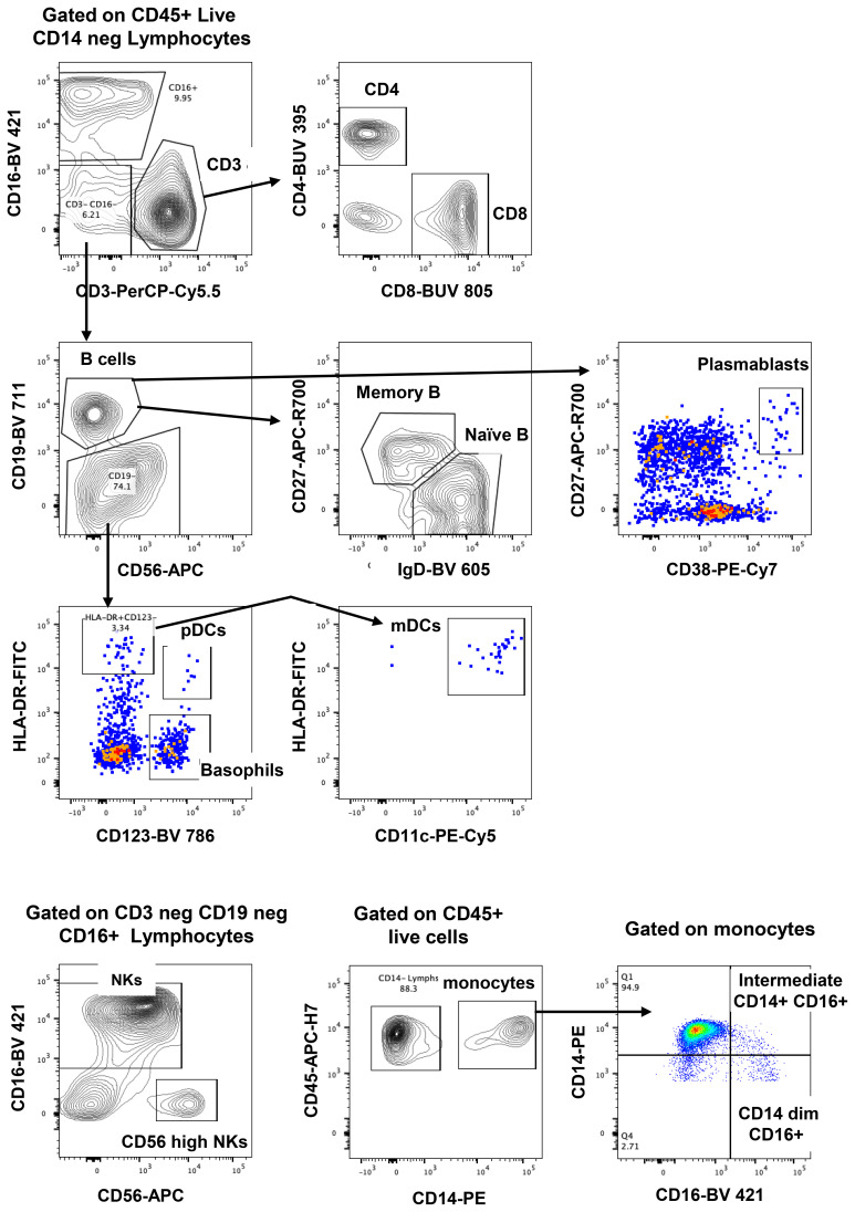 Figure 1