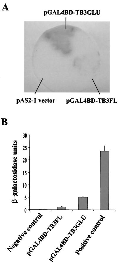 FIG. 8.