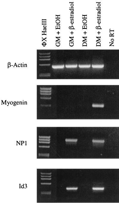 FIG. 5.