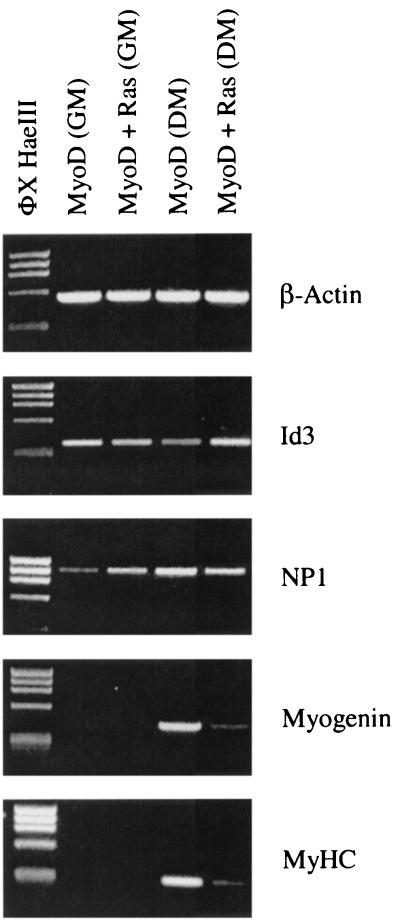 FIG. 10.