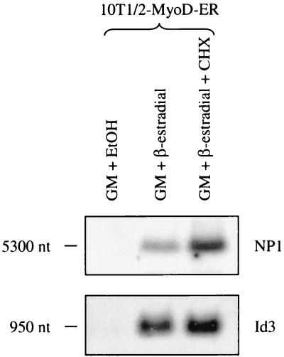 FIG. 7.