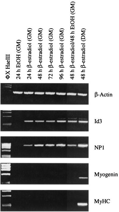 FIG. 8.