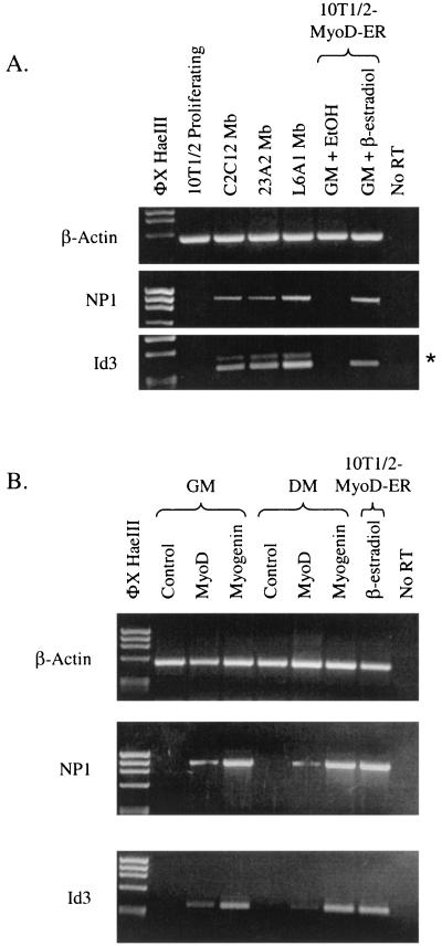 FIG. 9.