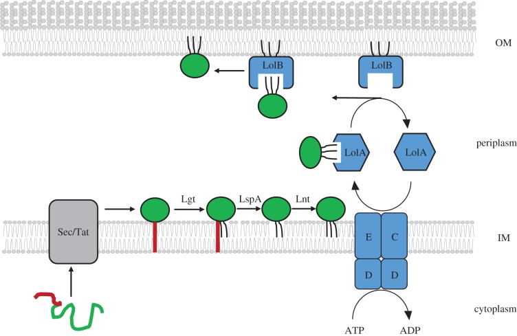 Figure 1.