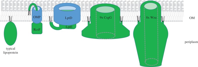 Figure 2.