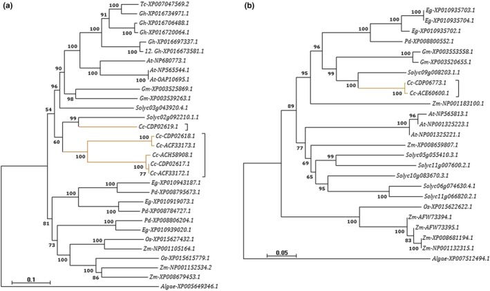 Figure 5