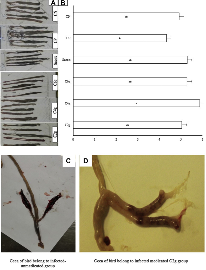 Figure 1