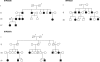 Figure  1.