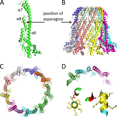 FIGURE 5.