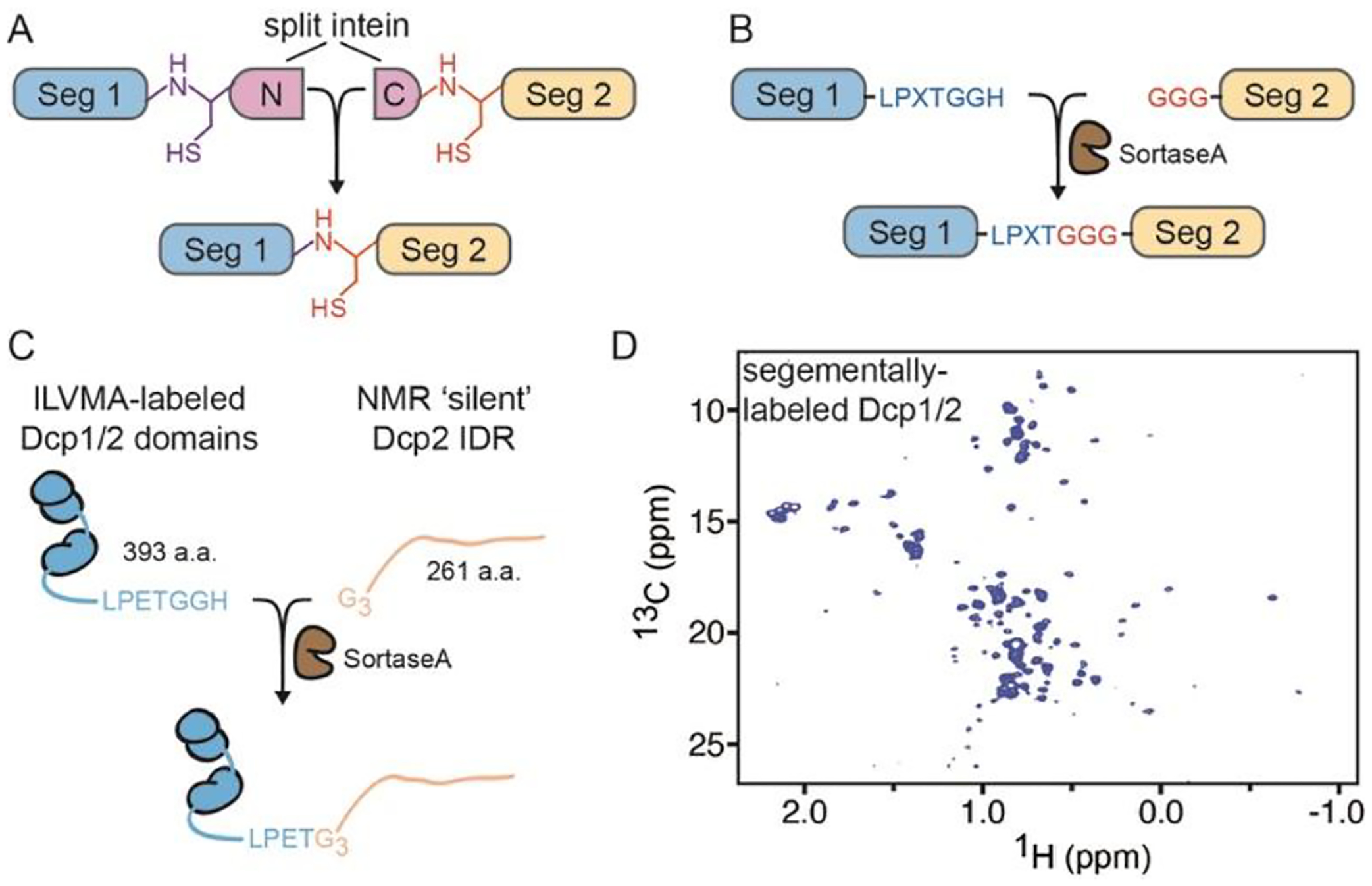 Figure 3: