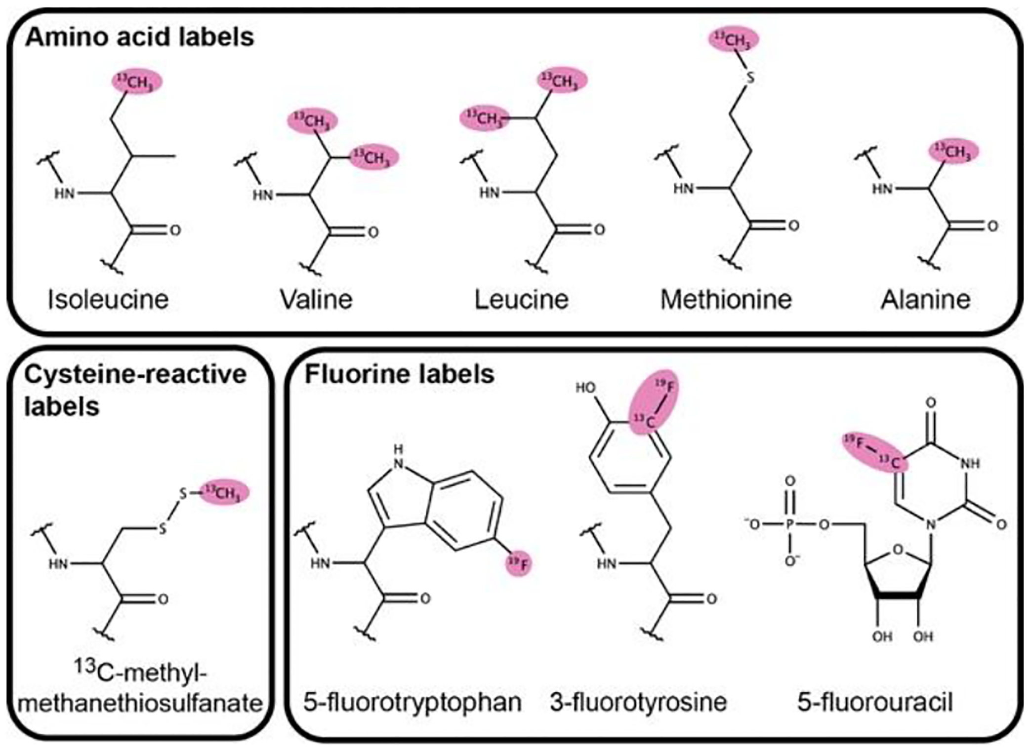 Figure 2: