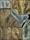 Fig 4