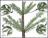 Fig 12