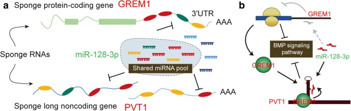 Fig. 11