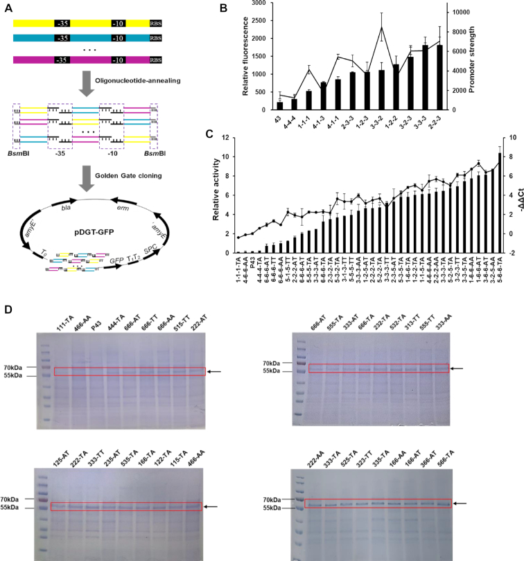 Figure 4.