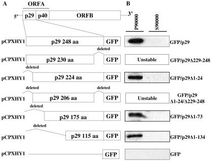 FIG. 7.