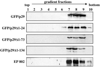 FIG. 8.