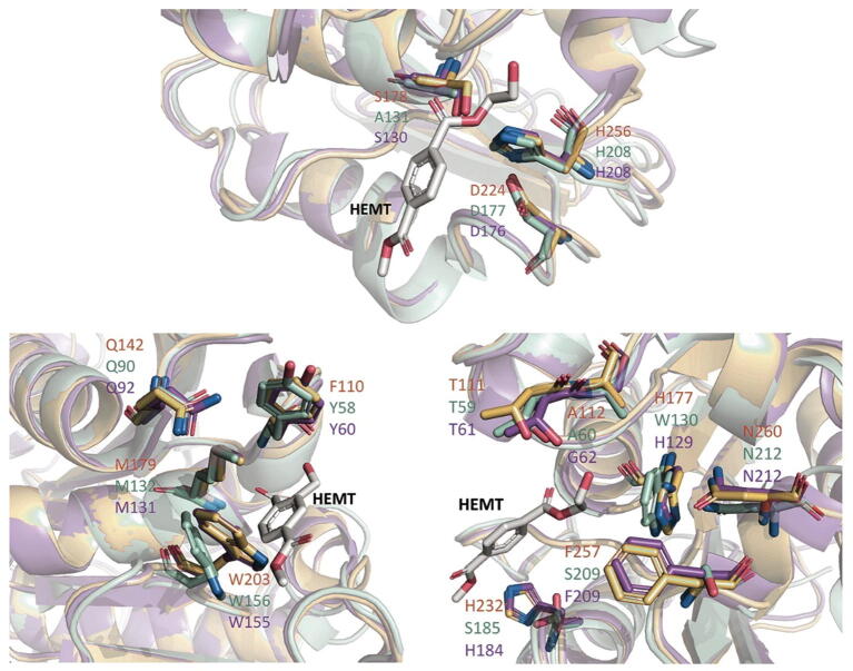 Fig. 9