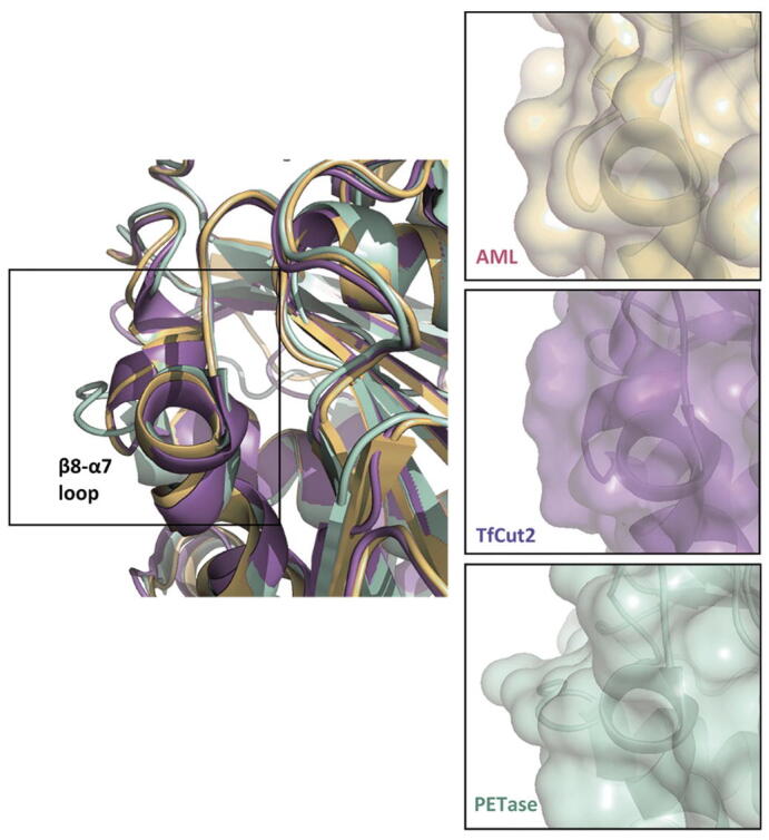 Fig. 10