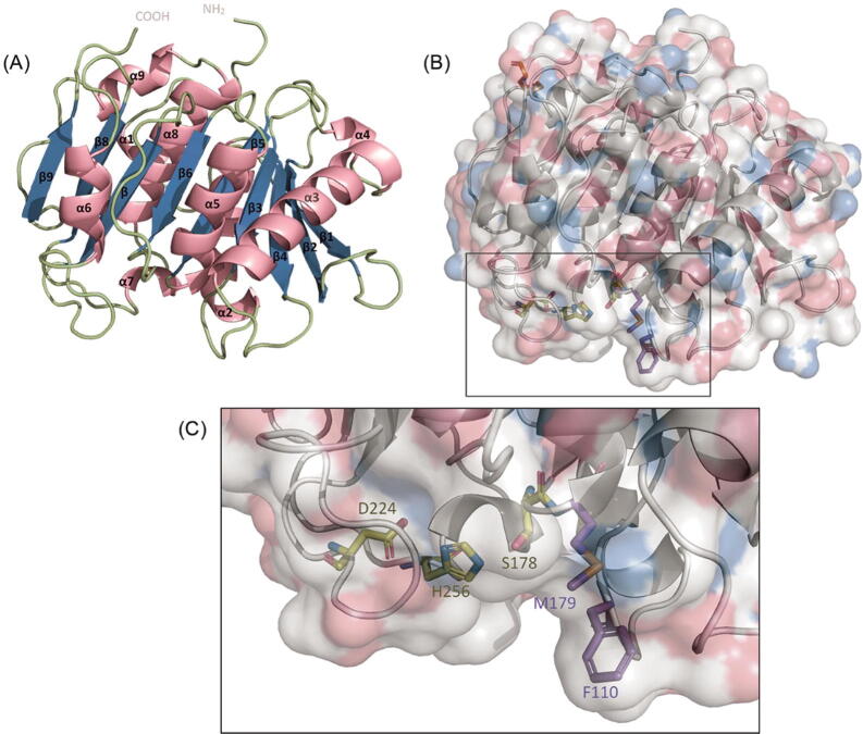 Fig. 2