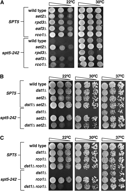 Figure 6.—