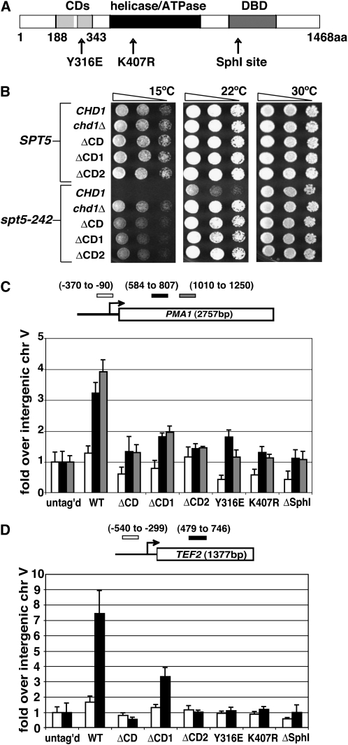 Figure 5.—