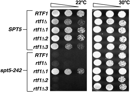 Figure 3.—