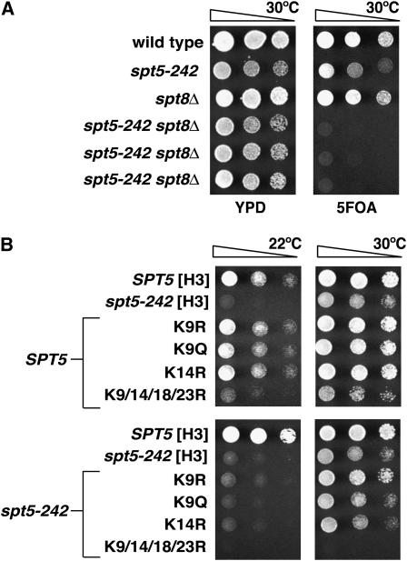 Figure 7.—