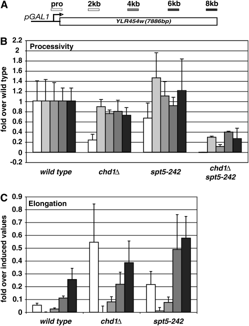 Figure 1.—