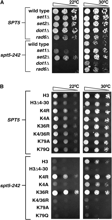 Figure 4.—