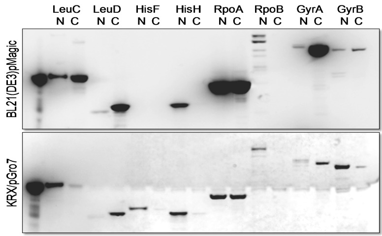 Fig. (2)