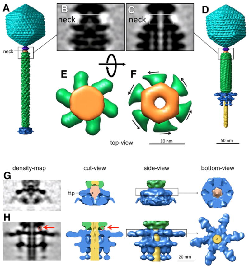 Fig. 3