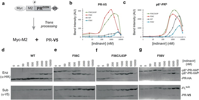 Fig. 7