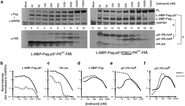 Fig. 6