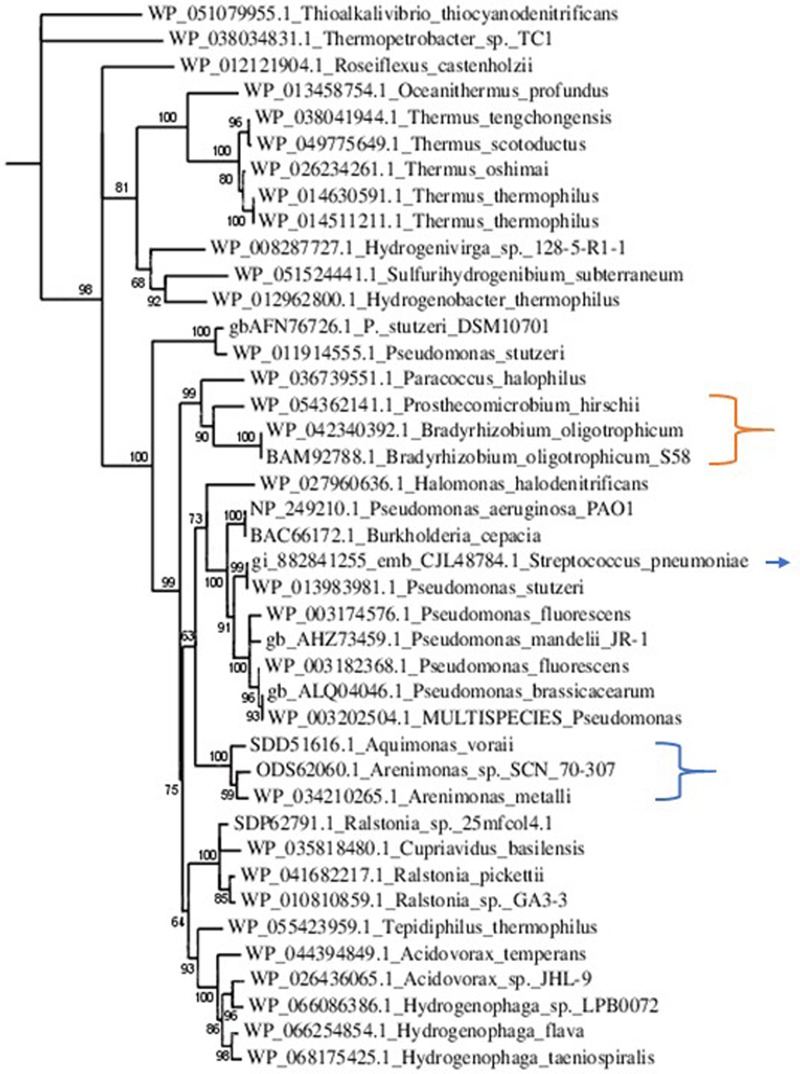 FIGURE 4