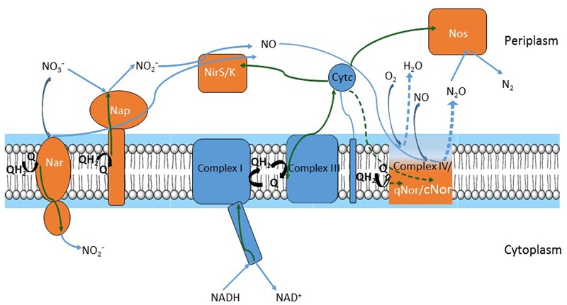 FIGURE 1