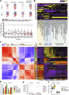 Figure 6. Pathway activities of tumor cell clusters in treated and control tumors. A, Top, Uniform Manifold Approximation and Projection (UMAP) visualization of the human tumor cells, colored by meta-cluster IDs and divided by sample. Bottom, box plot showing the number of marker genes per cluster for different clustering resolutions. B, Heat map showing the pathway activity of each meta-cluster. C, Left, heat map showing the pairwise correlation coefficient of meta-cluster cells divided by different samples. Both the x-axis and y-axis represent meta-cluster cells divided by sample. Right, heat map showing the pathway activities of meta-cluster cells divided by different samples, sharing the same y-axis as the left and the same x-axis as B. D, Bar plot showing the percentage of cells in MC12 (cycling tumor cells) in each sample. E, Line plot showing the percentage of cells in different meta-clusters in control and combo-treated samples, colored by meta-cluster ID. F, Box plot showing the EMT score distribution in control and combo-treated samples.