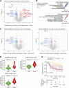 Figure 4. Proteomic analysis of the treatment effects. A, Volcano plot showing differentially expressed proteins between tumors after combination treatment of cabozantinib plus sapanisertib compared with the vehicle-treated controls, mapping 97 upregulated proteins (red dots) and 213 downregulated proteins (blue dots). B, Dot plot showing the overrepresented gene sets in proteins downregulated (top) and upregulated (bottom) after combination treatment. C, Volcano plots showing differentially expressed proteins between tumors after combination treatment versus single-agent treatments. Left, combination-treated and cabozantinib-treated tumors, mapping 59 upregulated and 146 downregulated proteins. Right, the comparison between combination-treated and sapanisertib-treated tumors, mapping 42 upregulated and 154 downregulated proteins. D, Violin plots showing protein levels of IGF2BP3, ERO1B, and PYCR1 in the tumor and normal adjacent tissue (NAT) samples in the CPTAC ccRCC discovery cohort. E, Kaplan–Meier curves displaying progression-free survival probability for two groups of patients in the CPTAC ccRCC discovery cohort. The two groups of patients were selected on the basis of the IGF2BP3 protein levels in their primary tumors. High IGF2BP3 protein expression represents those with protein expression in the upper 35% quantile. Low IGF2BP3 protein expression represents those with protein expression in the bottom 35% quantile.