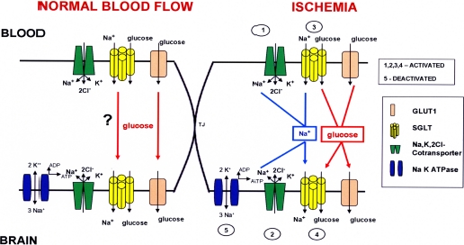 Fig. 8.