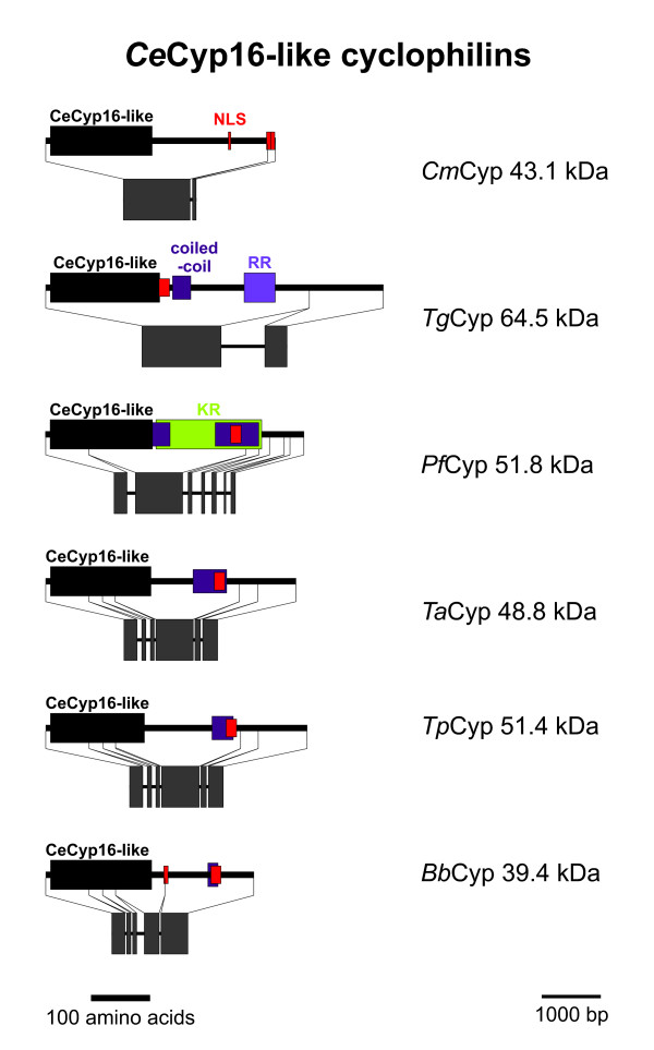 Figure 13