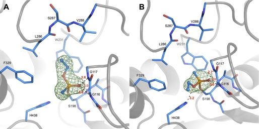 FIGURE 3.