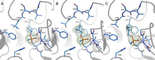 FIGURE 1.