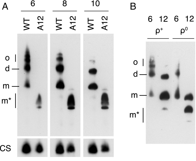 Fig. 5.