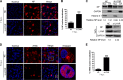 FIG 10