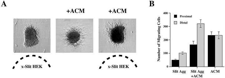 Fig. 10.