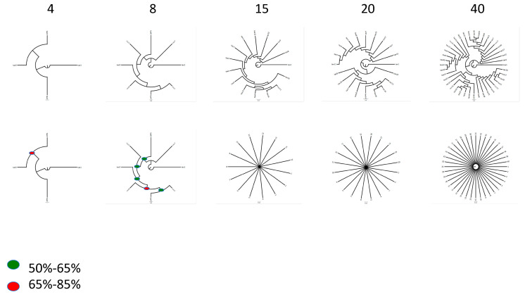 Should Networks Supplant Tree Building? - PMC