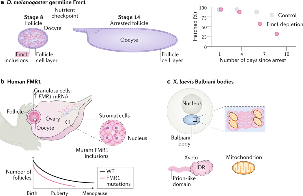 Figure 6: